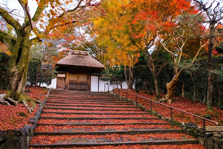 京都安樂寺隱藏在賞楓熱點「哲學之道」附近，可安排一起順遊。　圖：日本旅行情報局／來源