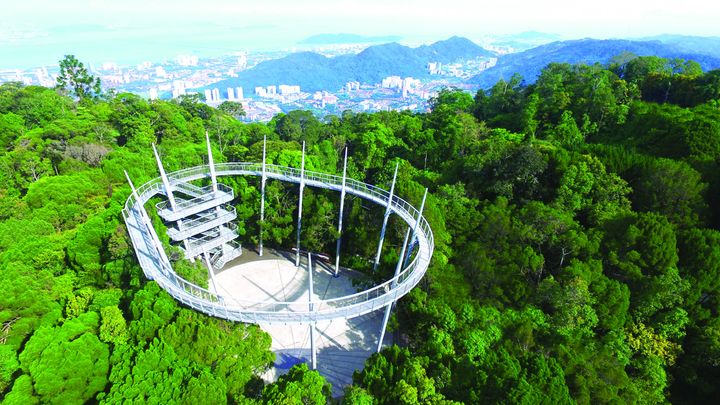 ▲檳城升旗山The Habitat Tree Top Walk空中步道。　圖：馬來西亞觀光局／提供