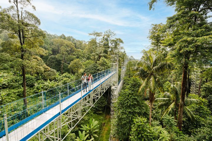 雪蘭莪州-馬來西亞森林研究所。　圖：馬來西亞觀光局／提供 