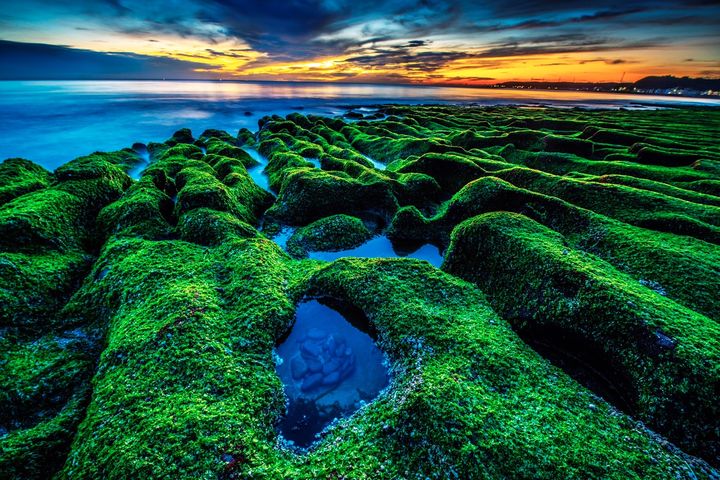 北海岸的老梅綠石槽。　圖：北海岸及觀音山國家風景區管理處／提供