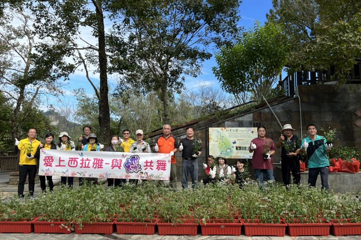 打造蝴蝶樂園！關子嶺紅葉公園新開放 一起來種蜜源植物