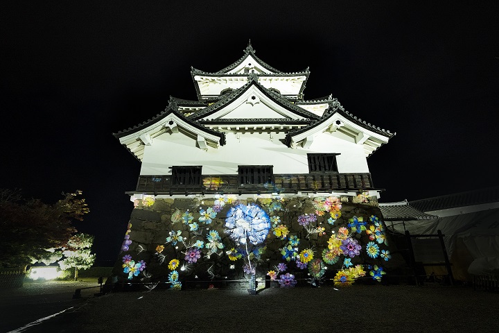 彥根城今年也與延曆寺、及京都的平安神宮等聯合實施蒲公英藝術投影企劃(DANDELION PROJECT)，將從11／05〜12／03登場。　圖：株式會社NAKED／來源