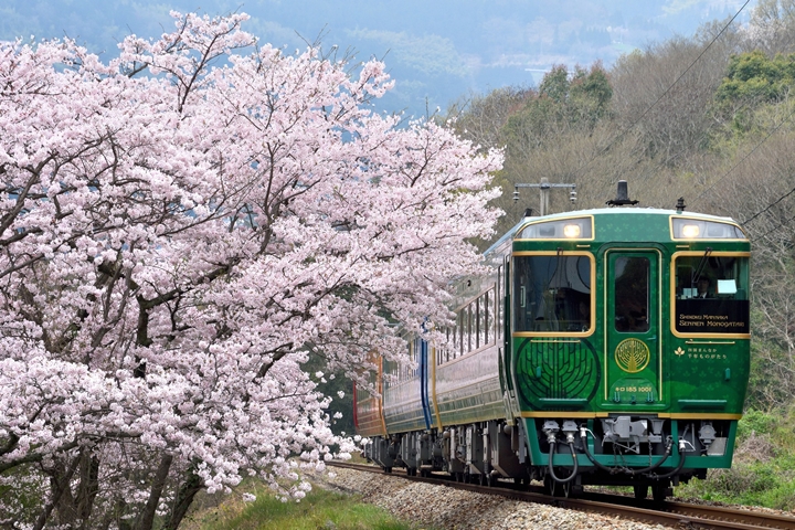 ▲1號車廂「春萌之章」外觀能欣賞高雅優美的翠綠色搭配圖樣點綴。　圖：四國旅客鐵道株式會社／來源