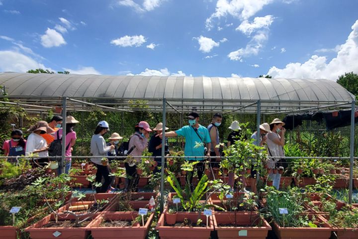 汪汪地瓜園。　圖：北海岸及觀音山國家風景區管理處／提供