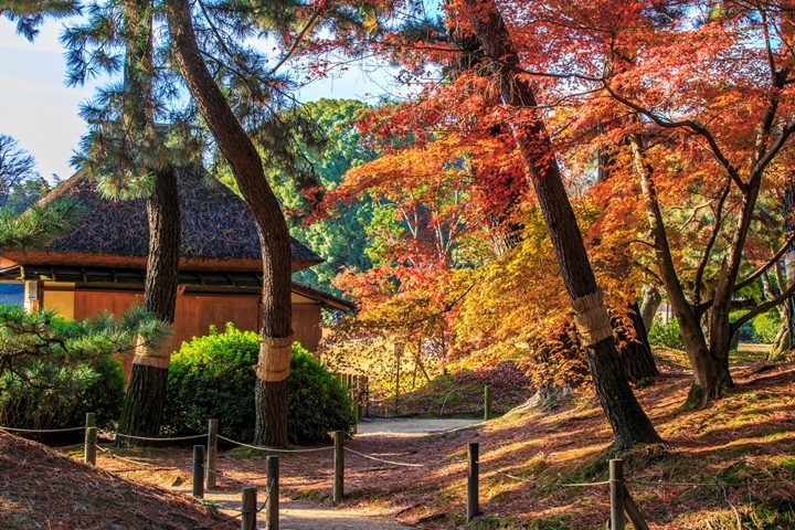 ▲岡山後樂園為岡山縣內知名紅葉景點。　圖：岡山県観光連盟／來源