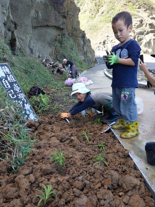 ▲在阿拉寶灣共同種下近1800株臺灣百合幼苗。　圖：北海岸及觀音山國家風景區管理處／提供