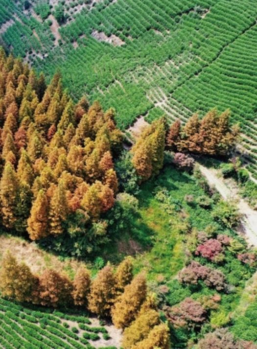 ▲湖州霞幕山古道始於風景秀麗的霞幕山水庫，全長約二十多公里。　圖：海峽兩岸旅遊交流協會／提供