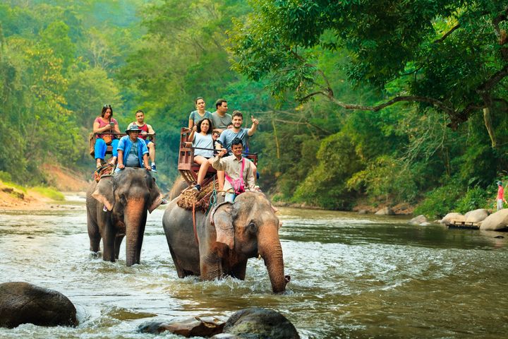 ▲泰國騎大象體驗。　圖：喜鴻假期／提供