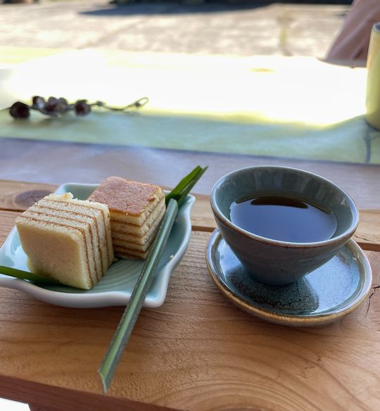 ▲上山品茶認識阿里山茶的魅力。　圖：阿里山國家風景管理處／提供