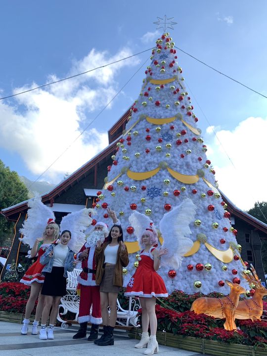 ▲12公尺高的銀白聖誕樹搭配雪花紛飛的飄雪情境，成為中臺灣打卡熱點。　圖：九族文化村／提供