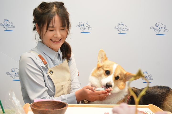 全台首創造型鮮食，為毛孩健康把關。　記者-王政／攝  