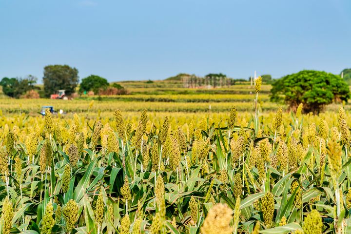 金門離島觀光資源豐富，風土滋味迷人。　圖：shutterstock／來源