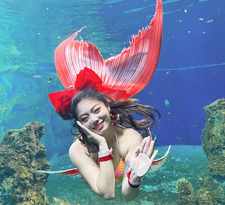 ▲12/5～12/30聖誕期間，推出限定版美人魚實境表演。　圖：遠雄海洋公園／提供