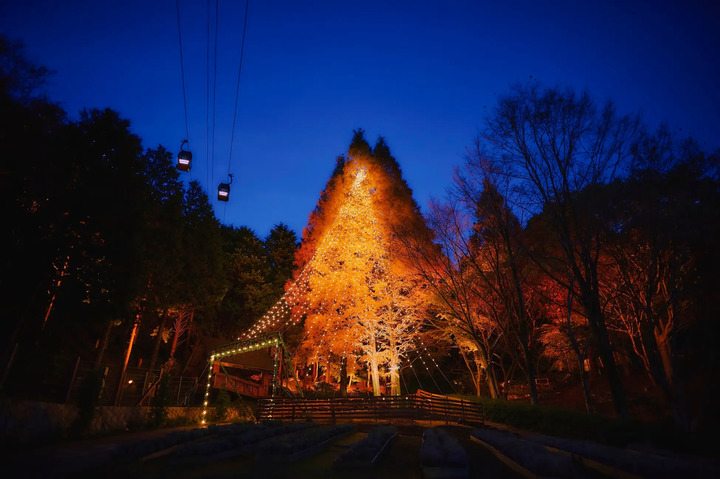 ▲活動期間聖誕樹每天於16：30點燈。　圖：Kobe Resort Service Co., Ltd.／提供