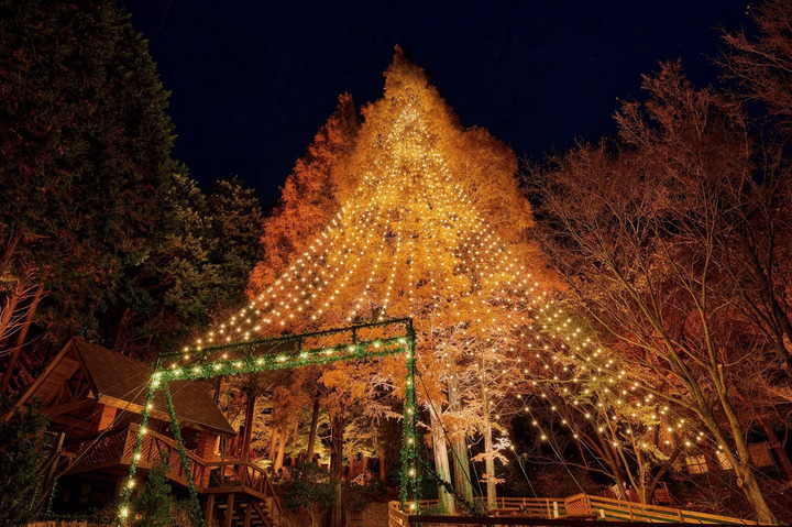 神戶布引香草花園為神戶再添浪漫耶誕景點。　圖：Kobe Resort Service Co., Ltd.／提供