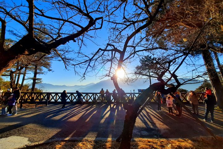 祝山觀日平台日出美景（圖：張寶彩／攝）。　圖：阿里山林業鐵路及文化資產管理處／提供