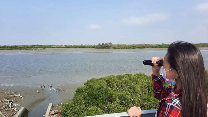 ▲學甲濕地也有黑琵棲地。　圖：臺南市政府觀光旅遊局／提供