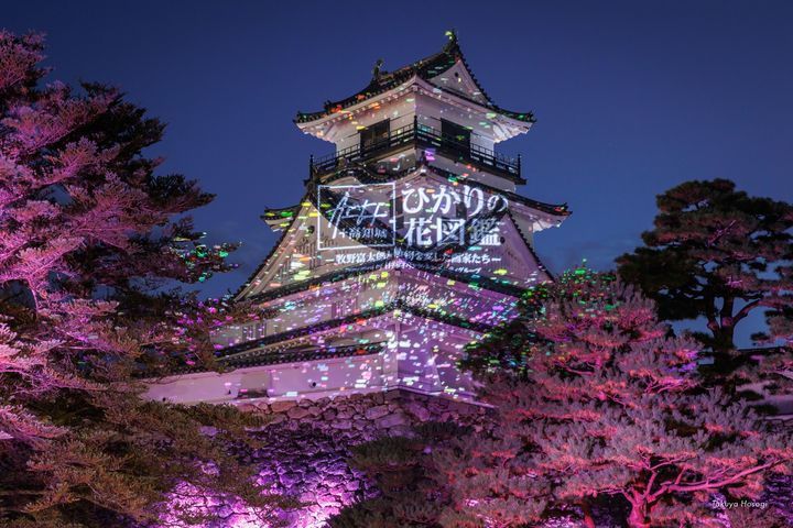 日本三大夜城之一的高知城，近期「ART+ +高知城 ひかりの花図鑑」光雕秀絢爛展演中。　圖：高知縣國際觀光課／提供 