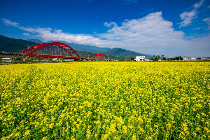 花蓮舉辦「印象花蓮，由你來定義」智慧站牌攝影比賽，用獨特視角拍出新風景。　圖：花蓮縣政府建設處／提供