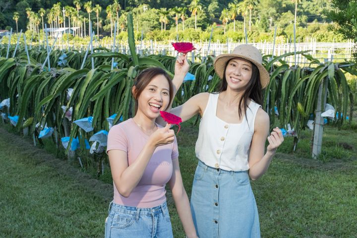 ▲「友善大地」以農業旅遊為主軸，刻劃旅人貼近土地、從產地到餐桌之脈絡。　圖：花東縱谷國家風景區管理處／提供