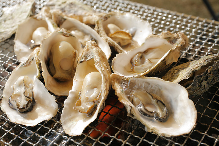 ▲九十九島牡蠣雖然較小顆，但鮮味濃厚。　圖：長崎縣觀光連盟／提供