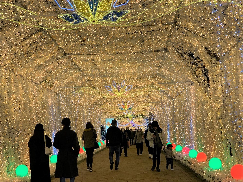 ▲全長300ｍ的「光之隧道」是免費區，年年吸引來大批遊客走逛。　圖：日本旅行情報局／提供