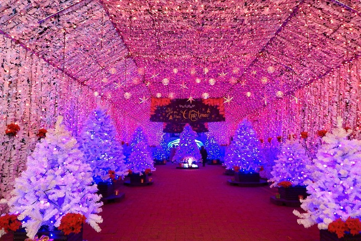 靜岡御殿場高原推出的「時之栖冬季彩燈秀」，充滿聖誕氣氛的光之隧道美不勝收。　圖：靜岡縣/提供