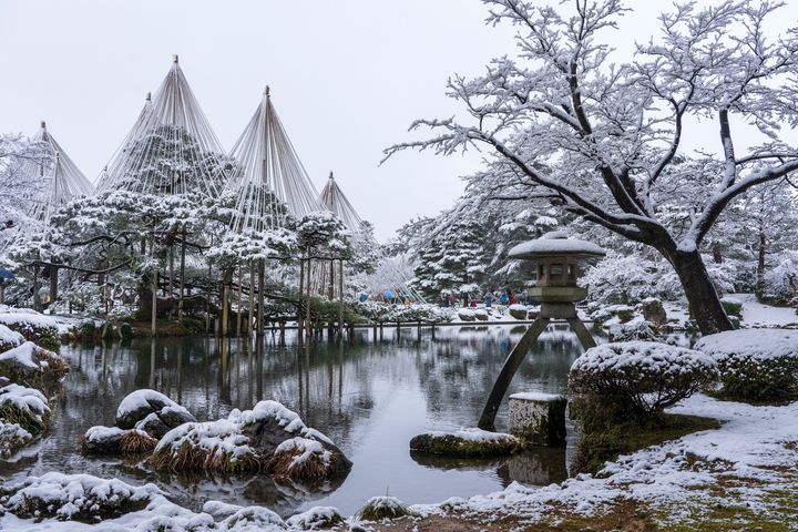 ▲兼六園冬季才能看到的雪吊景色。　圖：喜鴻假期／提供