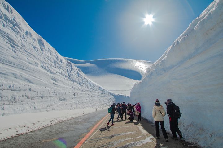 美景限定／漫遊立山黑部  一探雪壁奇觀