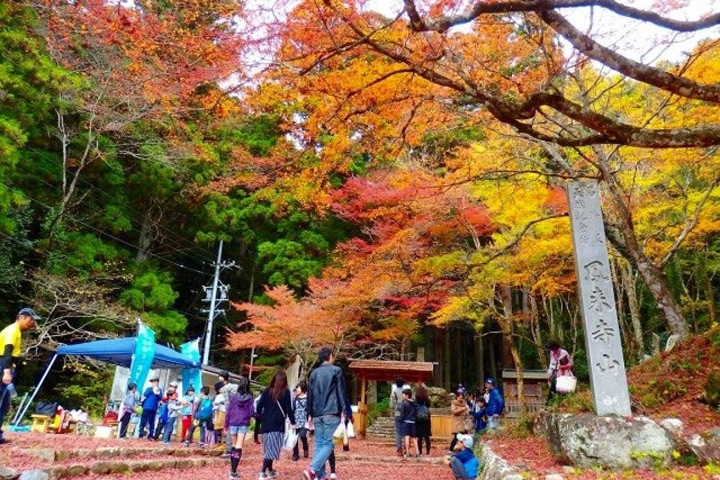 拜見奧三河的紅葉名所！1300年鳳來寺表參道秋日巡禮