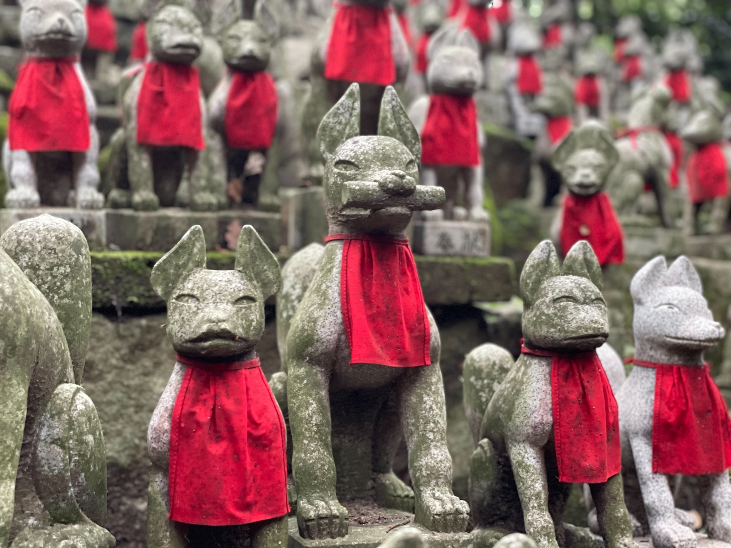 ▲豐川稻荷神社的靈狐塚。　圖：愛知縣東三河廣域觀光協議會／提供