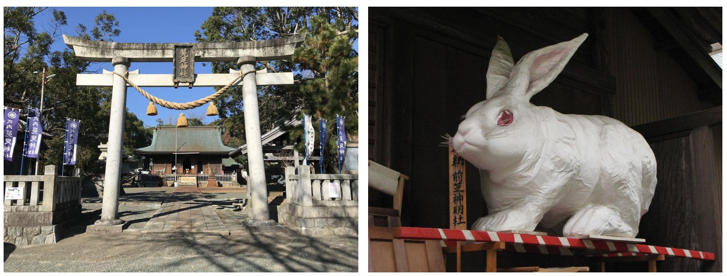 ▲左圖為菟足神社。右圖為放在本殿中的超巨大白兔像。　圖：愛知縣東三河廣域觀光協議會／提供