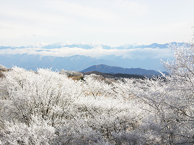 ▲冬天的茶臼山高原展現銀白世界之美，適合親子旅行。　圖：愛知縣東三河廣域觀光協議會／提供