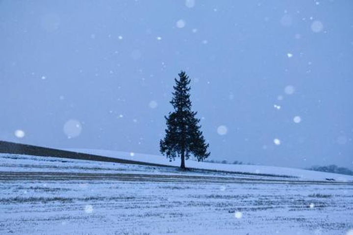 ▲冬雪點綴下則呈現出神秘的秘境感，無論選擇哪個季節到訪都別有滋味。　圖：world wide base／來源