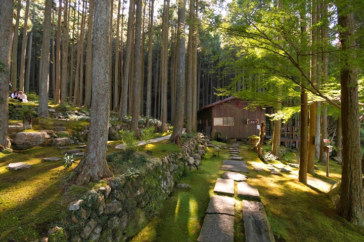 ▲「Gallery喫茶 苔筵」被青苔與參天樹木環繞，是相當療癒的秘境景點。　圖：愛媛縣觀光國際課／來源