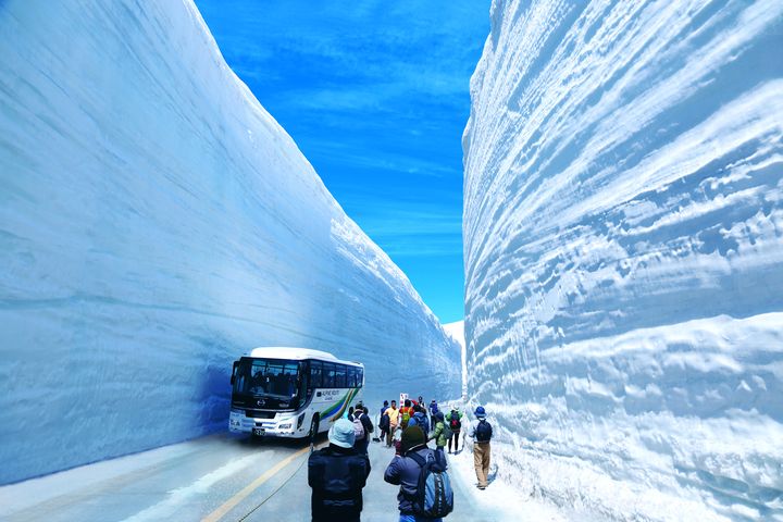 立山黑部將在4/15開山。　圖：Shutterstock／來源