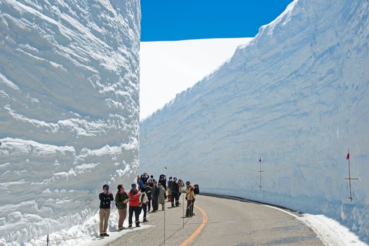 每年4月下旬開山為雪地中闢出一條車道，造就了壯闊雪牆吸引許多觀光客前來朝聖。　圖：大榮旅遊／提供