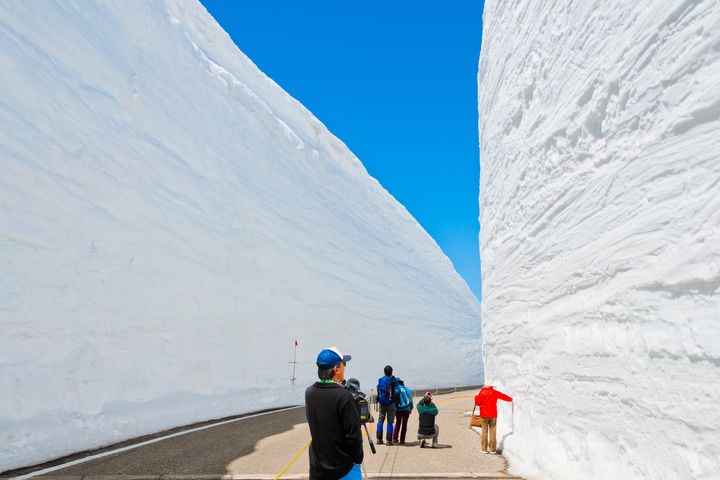 日本立山黑部雪牆即將開山。　圖：Shutterstock／來源