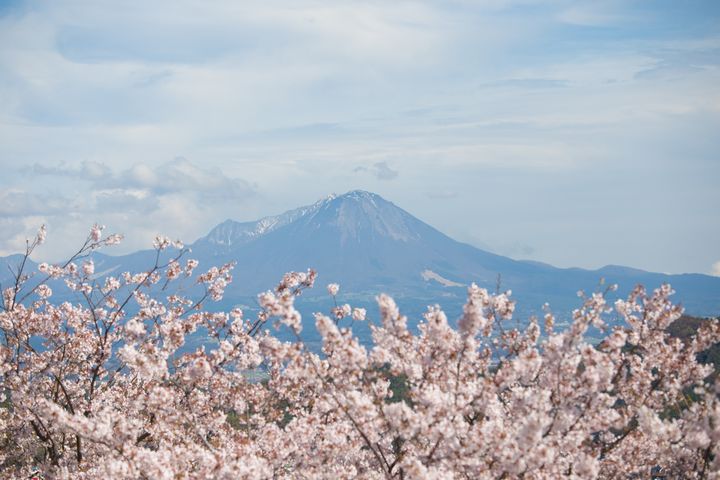 米子城跡眺望大山櫻姿米子鬼太郎空港，呈現可愛又獨特旅遊氛圍。　圖：鳥取縣廳／提供