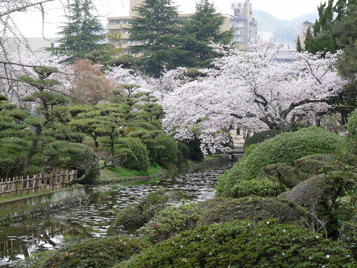 道後溫泉旁的道後公園也是賞櫻景點。　圖：愛媛縣觀光國際課／提供