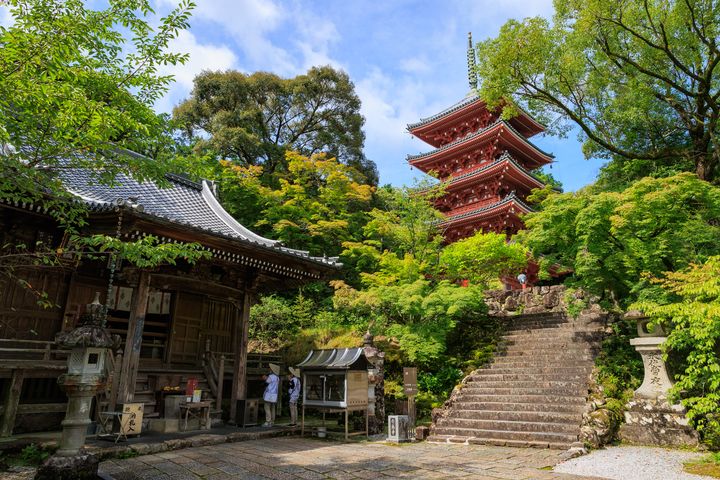 ▲竹林寺自古為學僧雲集的「南海第一道場」。　圖：高知縣國際觀光課／提供