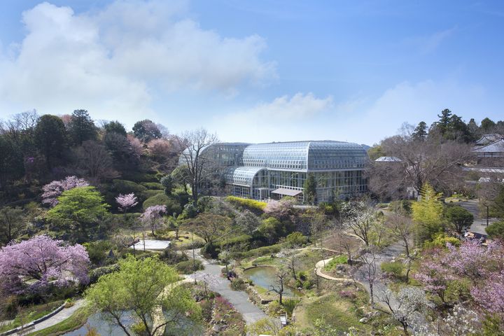 ▲紀念「日本植物學之父―牧野富太郎博士」而建造的「牧野植物園」。　圖：高知縣國際觀光課／提供