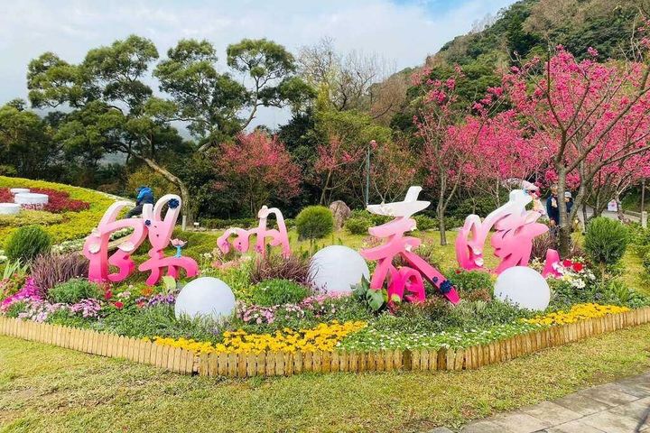 ▲2023陽明山花季主題為「陽明春曉」。　圖：臺北市政府觀光傳播局／提供