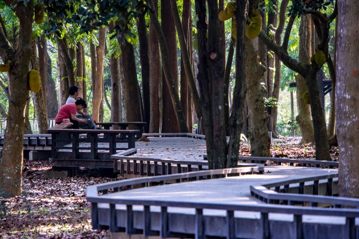 新威森林公園－側邊步道。　圖：茂林國家風景區管理處／提供 