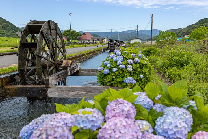 日劇《遲開的向日葵》取景地-安並水車之里。　圖：高知縣國際觀光課／提供