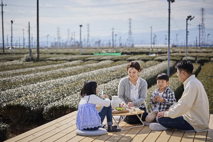 日本三大銘茶狹山茶另類體驗 3/10起包場茶園拍美照