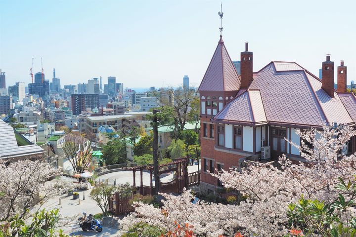 ▲從北野天滿神社可觀賞櫻花與神戶街景同框的景致。　圖：神戶觀光局／提供