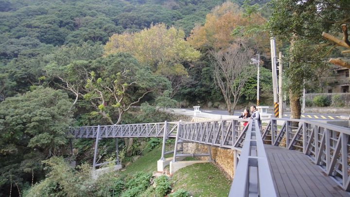 ▲觀音山林梢步道。　圖：北海岸及觀音山國家風景區管理處／提供