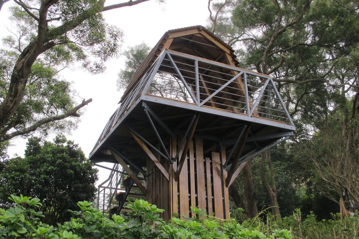 ▲牛港稜步道樹屋觀景台。　圖：北海岸及觀音山國家風景區管理處／提供