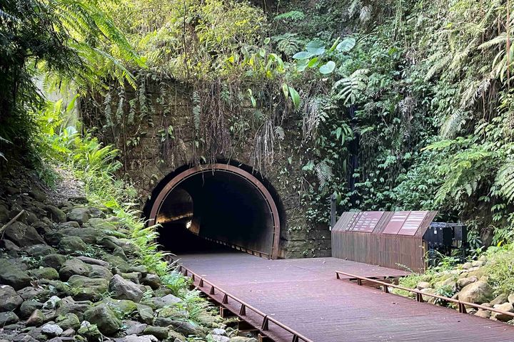 秘境旅遊 / 東北角三貂嶺生態友善隧道開放 美拍熱點平日免預約